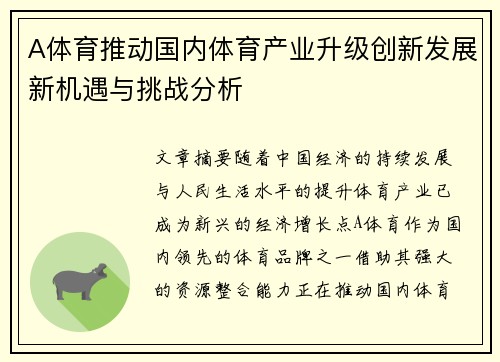 A体育推动国内体育产业升级创新发展新机遇与挑战分析